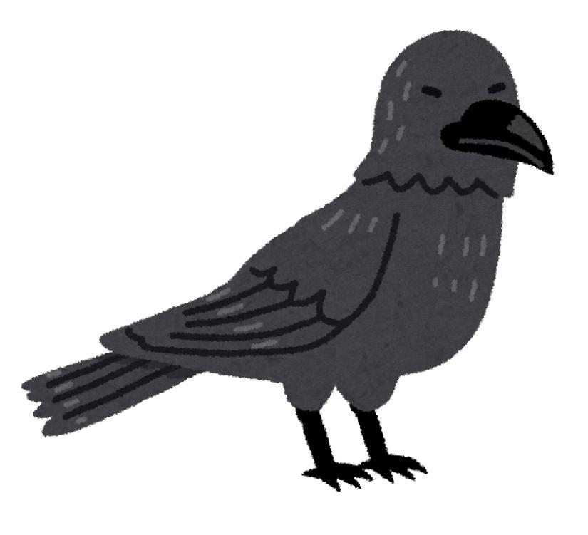 カラスの種類や白いカラス カラスを食べる地域もあるって E 情報 Com