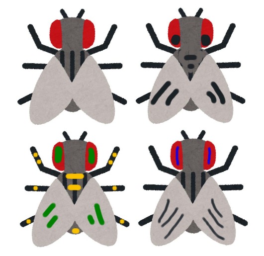 虻はどうして噛むのか 虻の撃退法と虻に噛まれた時の対処法 E 情報 Com