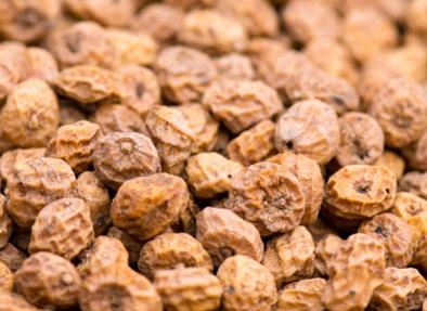 タイガーナッツとは その恐るべき健康効果と食べ方や副作用 E 情報 Com