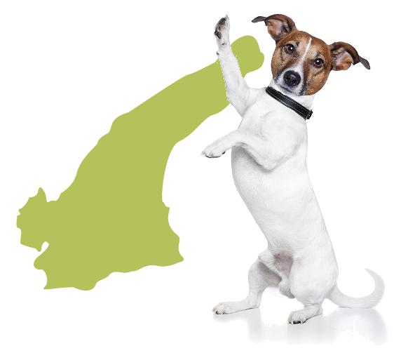 犬と一緒に淡路島に出かけよう 犬と泊まれる宿泊施設や観光地 E 情報 Com