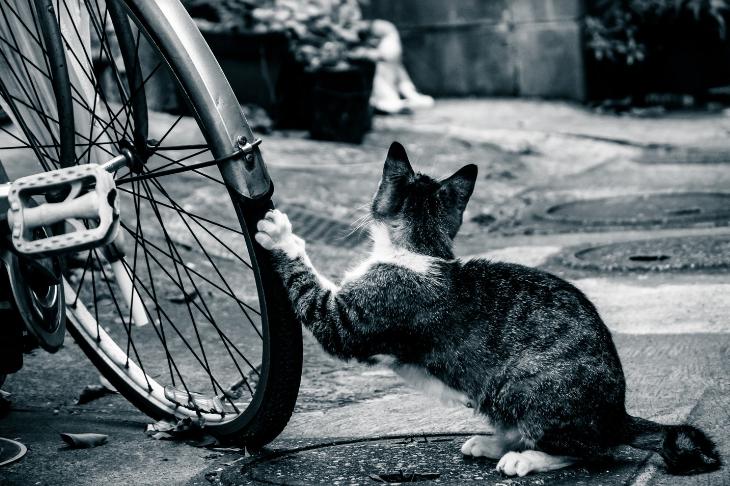 自転車 雨 顔 が 濡れる